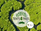 https://www.dancovershop.com/fr/tents4trees.aspx